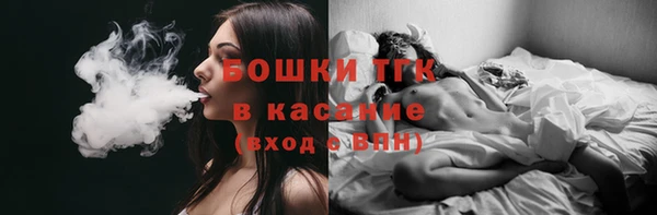 МДПВ Елабуга